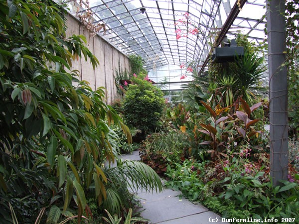 Inside the hot house